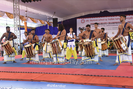 Karate Champio...